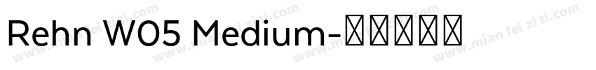 Rehn W05 Medium字体转换